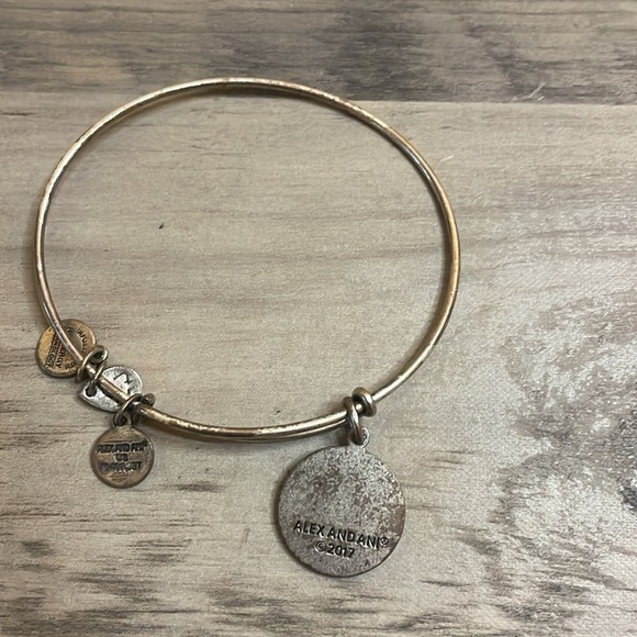 Alex & Ani women’s bracelet bangle Silver Charm Las Vegas jewelry adjustable - Picture 3 of 4